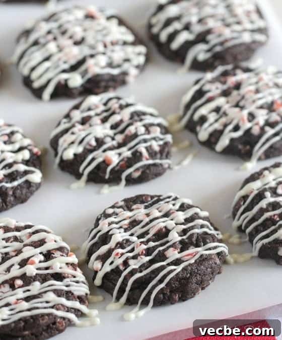 Peppermint Chocolate Crunch Cookies with Candy Cane Bits 9 Chocolate Cookies Recipe
