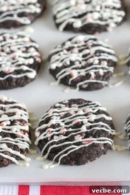 Peppermint Chocolate Crunch Cookies with Candy Cane Bits 10 Chocolate Cookies Recipe