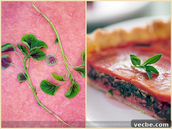 On the Other Side 3 amaranth beet tart olive oil crust