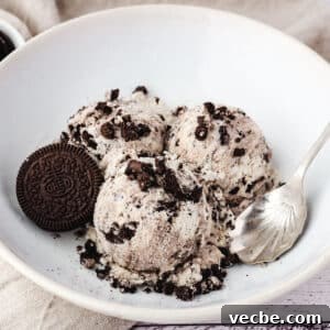 Cookies and Cream Ice Cream Recipe 22 Three scoops of Oreo ice cream in a bowl with a spoon.