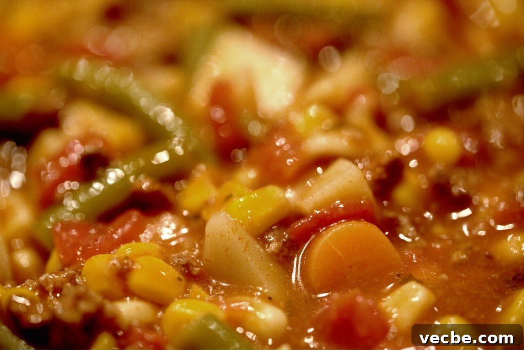Vegetable Beef Soup