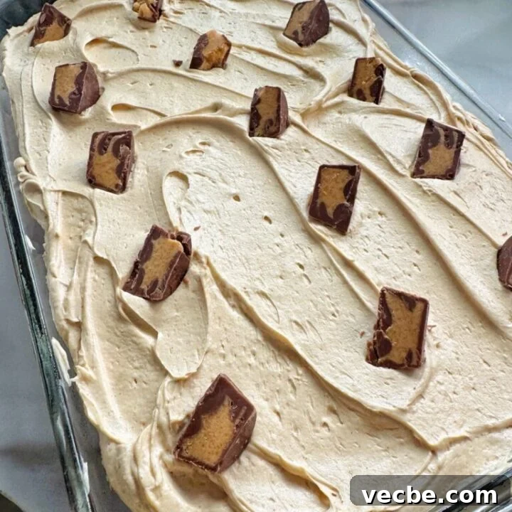 Peanut Butter Vanilla Cake Recipe
