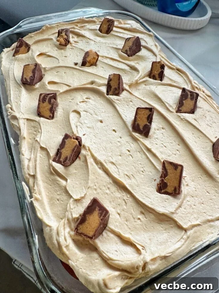 Finished Peanut Butter Vanilla Cake