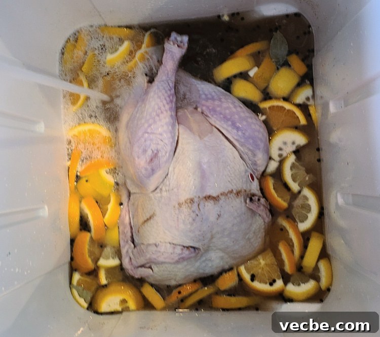 Bourbon Turkey Brine for Smoked Turkey with Jim Beam Apple 4 Bourbon Turkey Brine with Turkey In Cooler