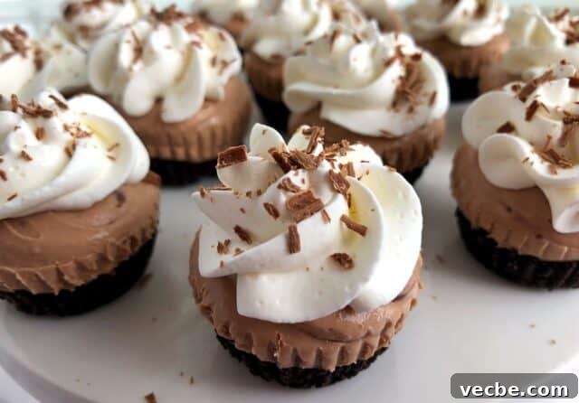 16 Festive St. Patrick's Day Treats for Parties 2 No Bake Irish Cream Mini Cheesecakes