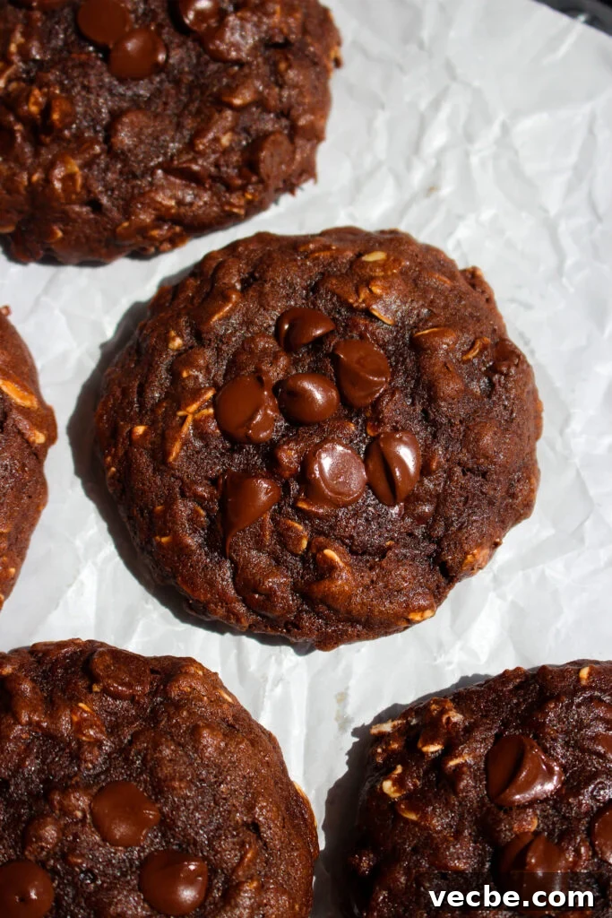 Chewy Chocolate Banana Oatmeal Cookies 2 Chocolate banana oatmeal cookies on a plate