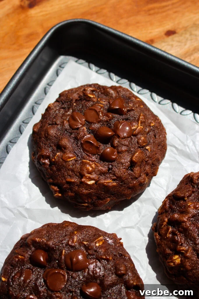 Chewy Chocolate Banana Oatmeal Cookies 14 Finished cookies ready to eat