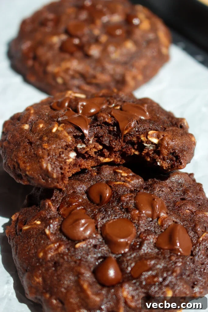 Chewy Chocolate Banana Oatmeal Cookies 3 Close-up of a cookie with chocolate chips