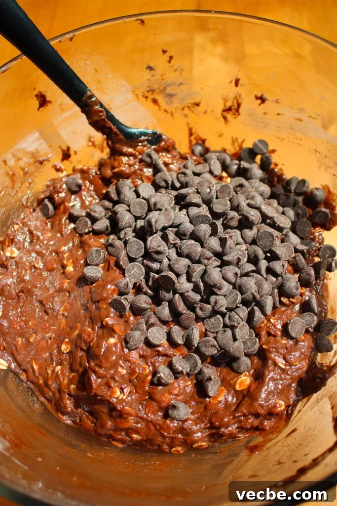 Chewy Chocolate Banana Oatmeal Cookies 10 Chocolate chips in batter