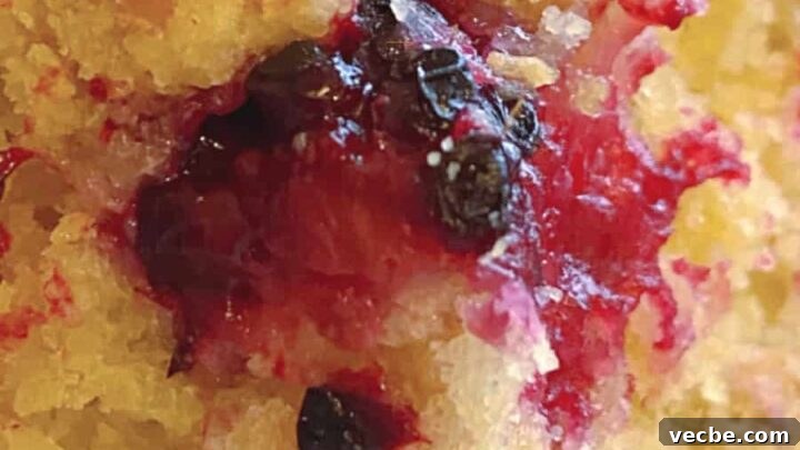 Easy Homemade Raspberry Crumb Bars