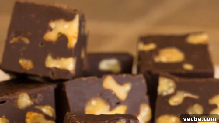 Chocolate Nut Fudge