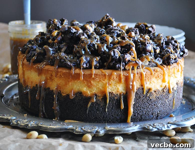 Peanut Butter Cheesecake with Chocolate Crunch Topping 2 Peanut Butter Cheesecake with chocolate peanut butter crunch topping | ofbatteranddough.com