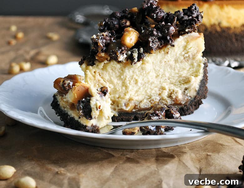 Peanut Butter Cheesecake with Chocolate Crunch Topping 3 Peanut Butter Cheesecake with chocolate peanut butter crunch topping | ofbatteranddough.com