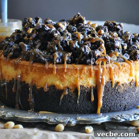 Peanut Butter Cheesecake with chocolate peanut butter crunch topping | ofbatteranddough.com