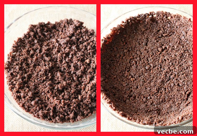 Chocolate Raspberry Mousse Pie - Gluten-Free and Dairy-Free 3 Chocolate Cookie Crumbs in pie plate