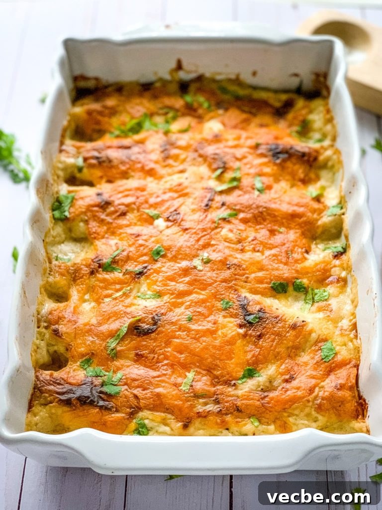 chicken enchiladas in a baking dish