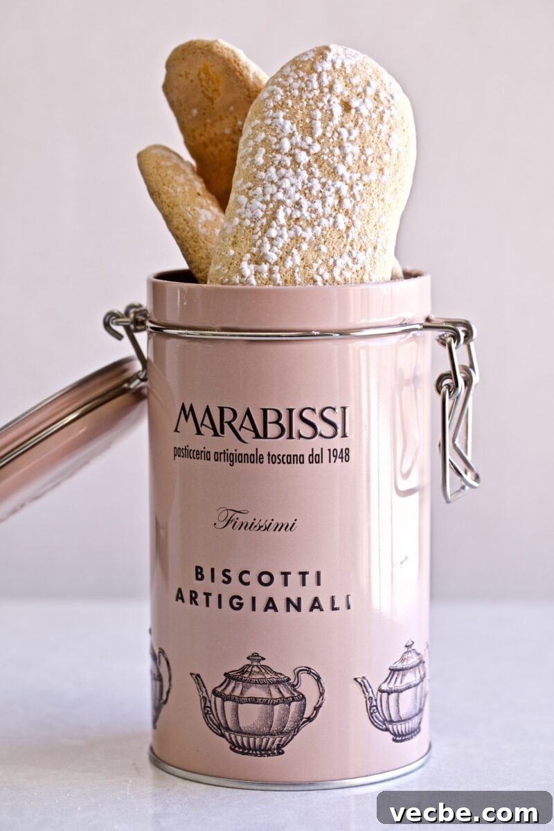 65+ Christmas Dessert Recipes Your Guests Will Love 11 Homemade Italian Ladyfinger Recipe (Savoiardi) in a pink tin cookie canister