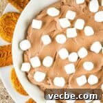3 Ingredient Hot Cocoa Dip Without Marshmallow Fluff 13 A serving bowl with 3 ingredient hot cocoa dip garnished with mini marshmallows, with cookies on the side for dippers.