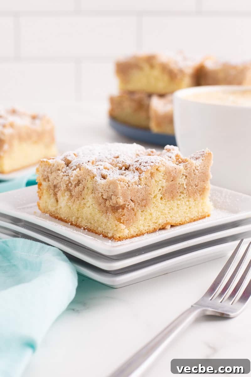 Crumb Cake Recipe with Cinnamon Streusel Topping 3 New York crumb cake on a white plate with a fork on the side.