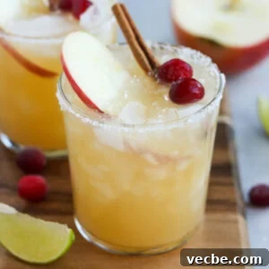Apple Cider Margarita Recipe with Cinnamon for Fall 6 Fall Margarita recipe photo