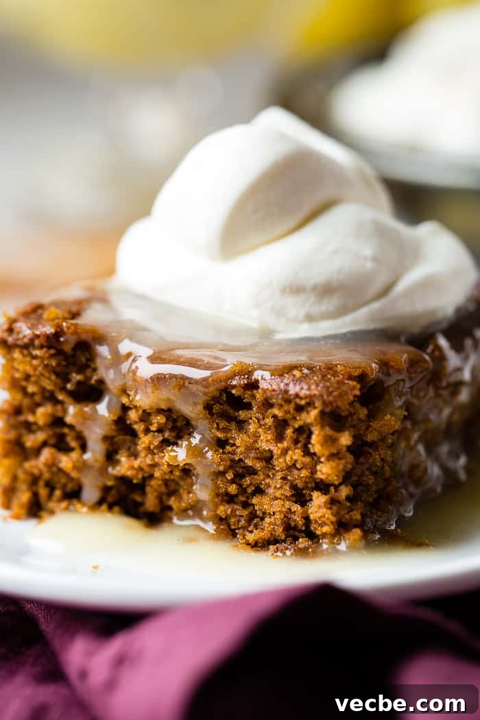Warm Gingerbread Cake with Zesty Lemon Sauce 2 a warm slice of gingerbread cake with lemon sauce and a dollop of whipped cream