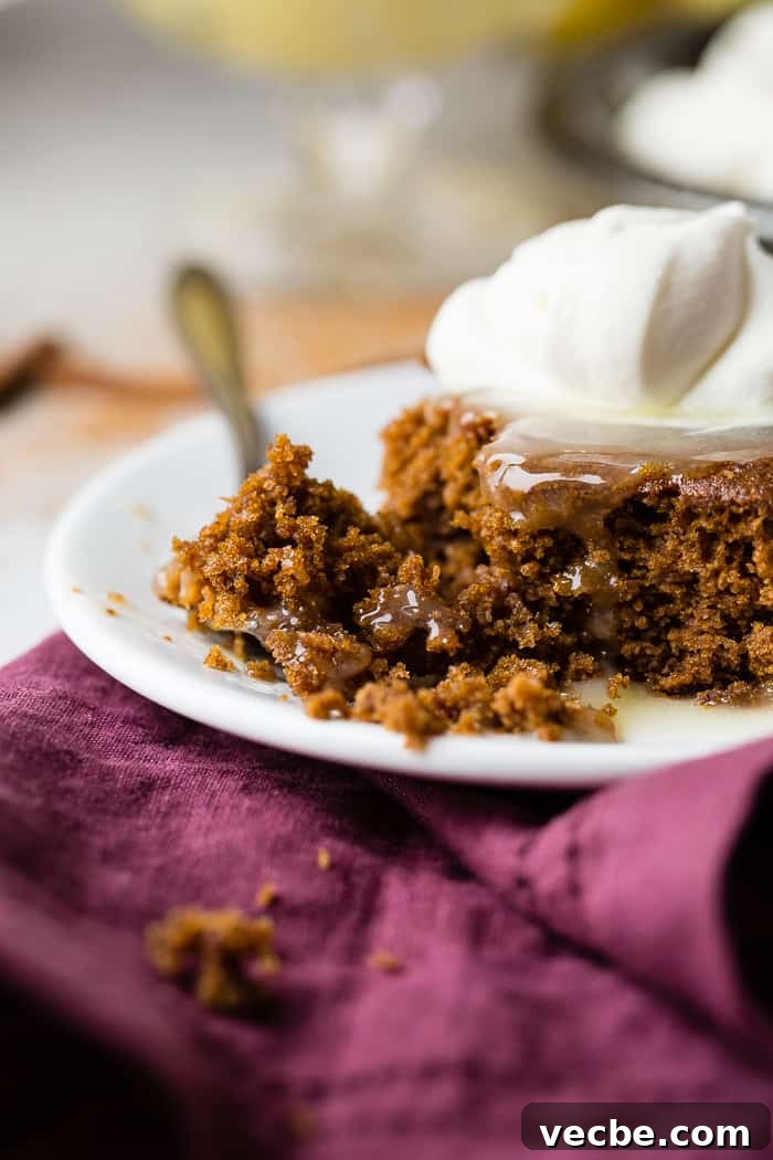 Warm Gingerbread Cake with Zesty Lemon Sauce 3 a warm slice of gingerbread cake with lemon sauce and a dollop of whipped cream
