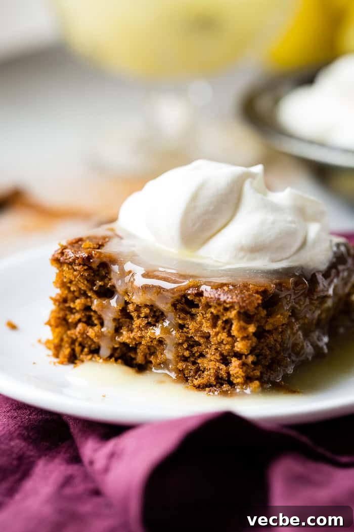 Warm Gingerbread Cake with Zesty Lemon Sauce 5 a warm slice of gingerbread cake with lemon sauce and a dollop of whipped cream