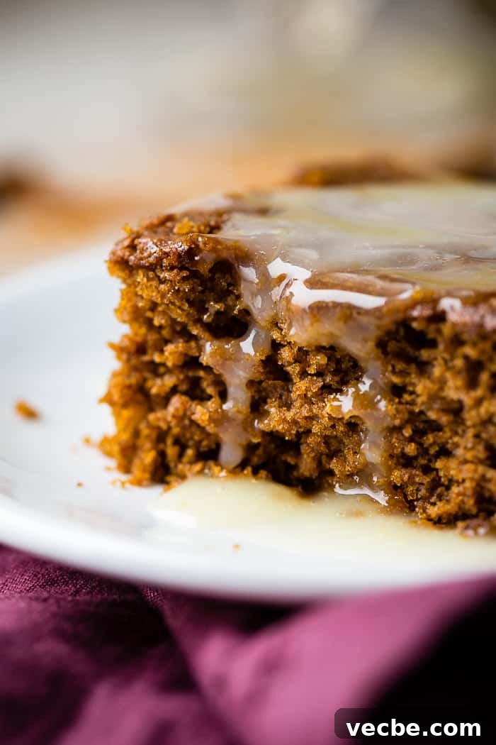 Warm Gingerbread Cake with Zesty Lemon Sauce 6 a warm slice of gingerbread cake with lemon sauce and a dollop of whipped cream