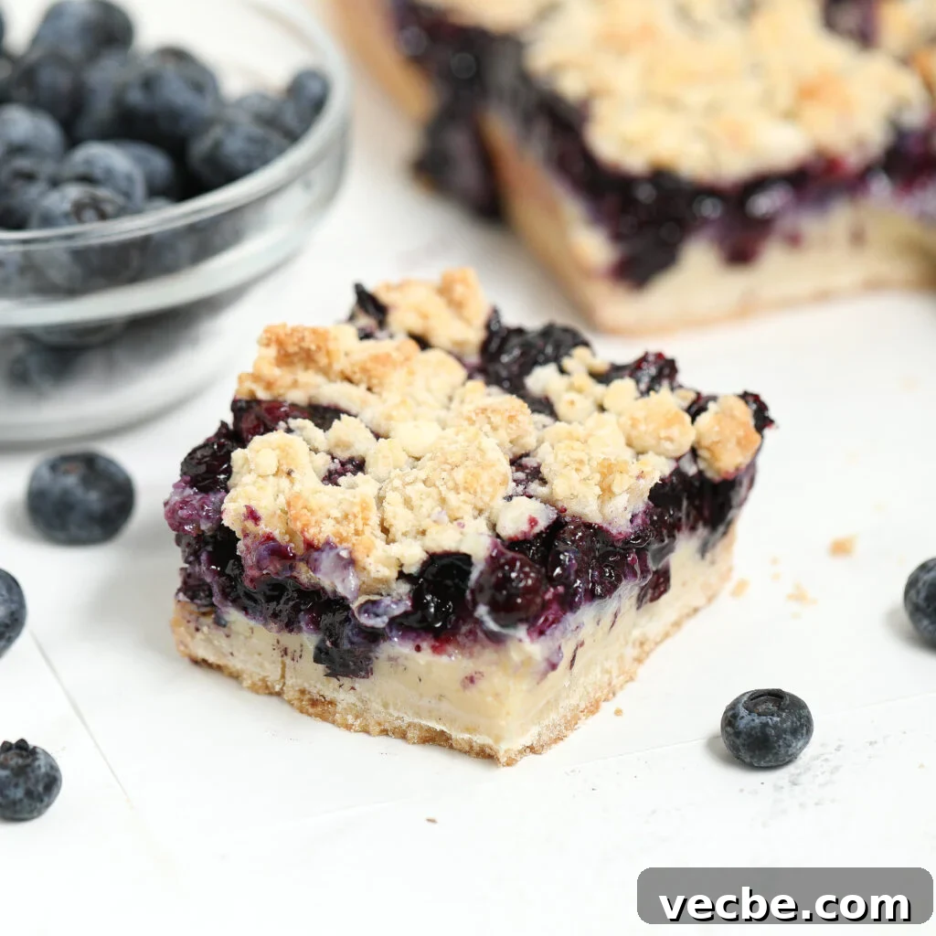 Blueberry Custard Bars with Buttery Shortbread Crust Recipe 2 A close-up of a square slice of blueberry custard cheesecake bar with a crumbly topping, creamy cheesecake layer, and a blueberry filling, with fresh blueberries nearby.