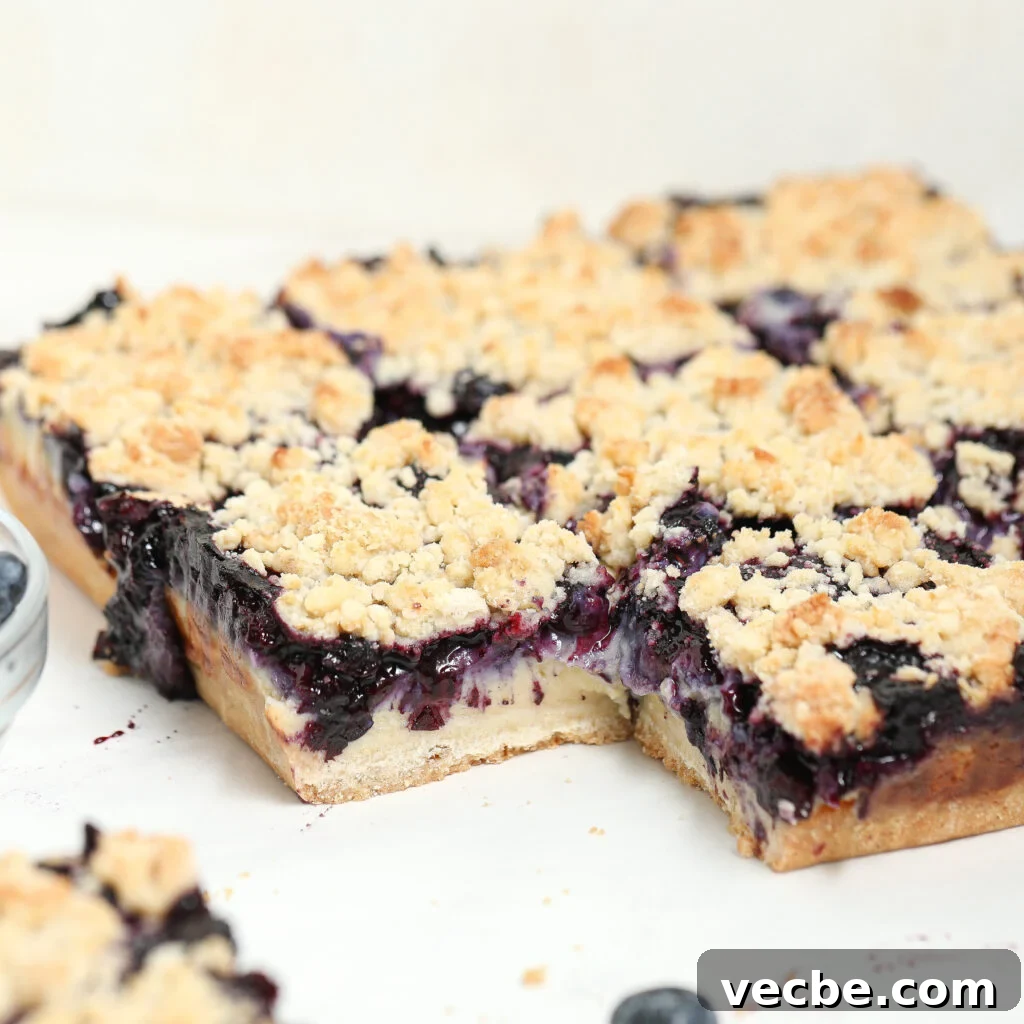 Blueberry Custard Bars with Buttery Shortbread Crust Recipe 3 A close-up of a square slice of blueberry custard bar with a crumbly topping, creamy cheesecake layer, and a blueberry filling, with fresh blueberries nearby.