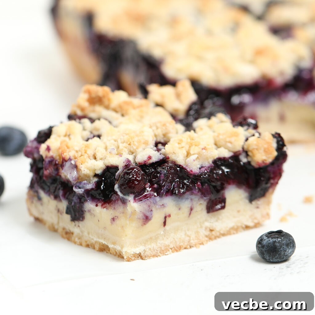 Blueberry Custard Bars with Buttery Shortbread Crust Recipe 4 A close-up of a square slice of blueberry custard bar with a crumbly topping, creamy cheesecake layer, and a blueberry filling, with fresh blueberries nearby.