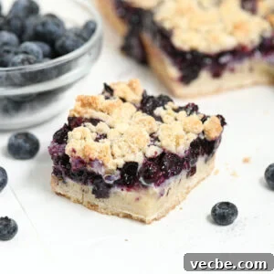 A close-up of a square slice of blueberry custard cheesecake bar with a crumbly topping, creamy cheesecake layer, and a blueberry filling, with fresh blueberries nearby.
