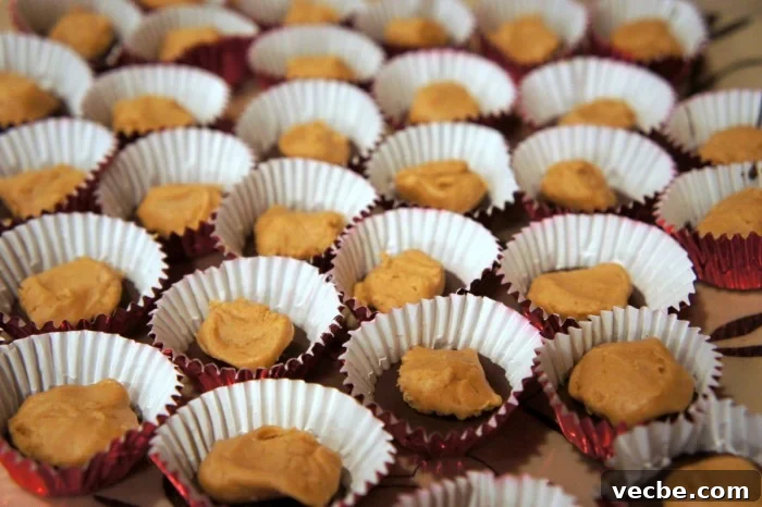 Chocolate Cookie Butter Cups - cookie butter in place of peanut butter! Mini muffin tins with a layer of melted chocolate on the bottom of each topped with a dollop of cookie butter