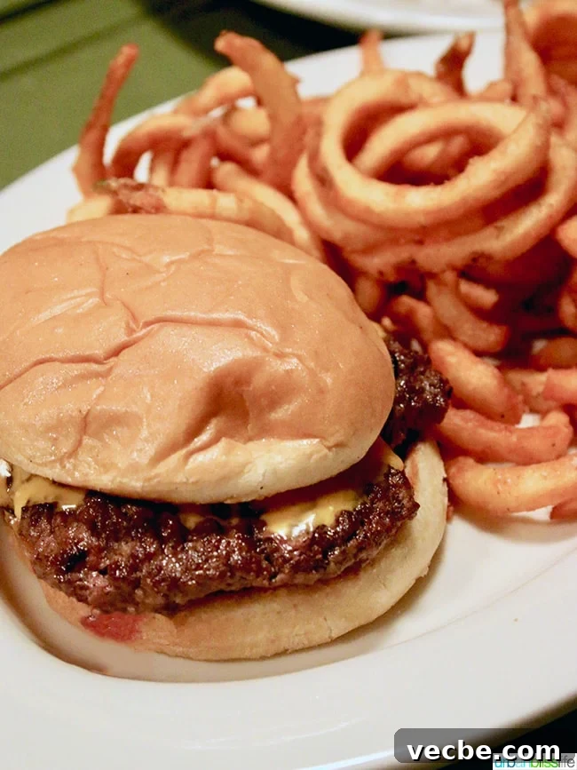 Summer Wine and Food Pairings for Warm Weather Meals 12 burger and curly fries at Suttle Lodge in Sisters, Oregon