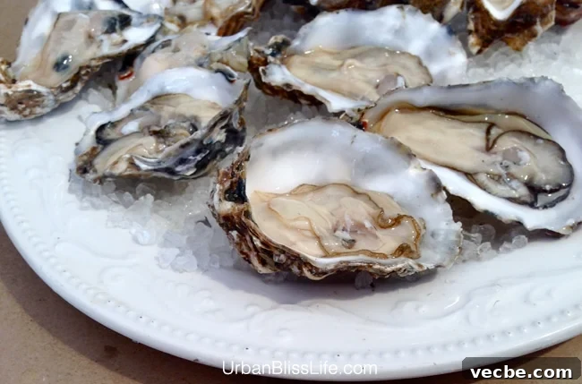 Summer Wine and Food Pairings for Warm Weather Meals 26 plate of oysters on ice.