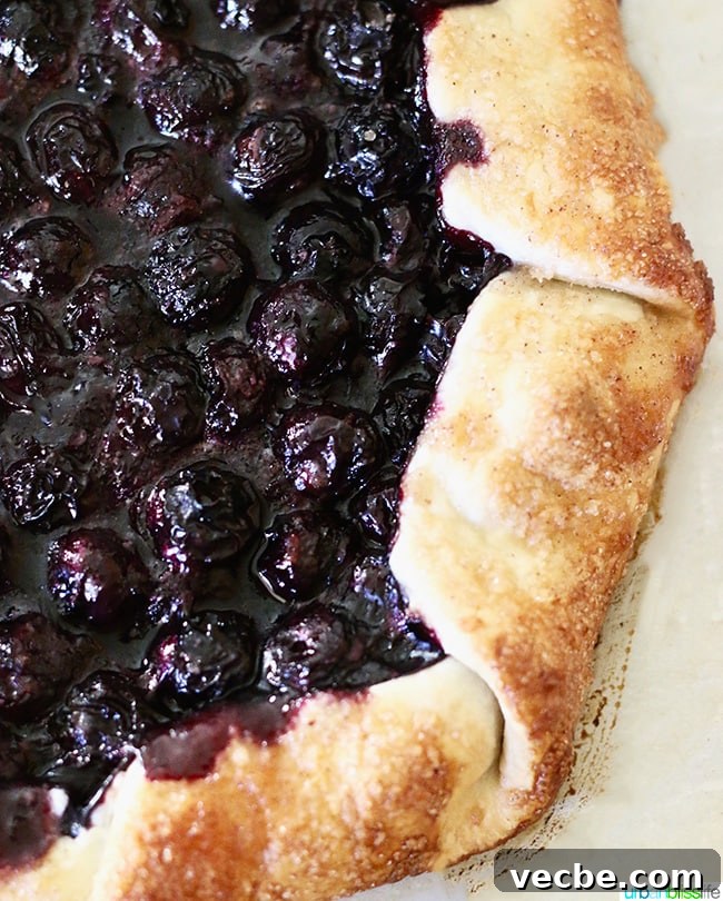 Summer Wine and Food Pairings for Warm Weather Meals 34 Blueberry Galette