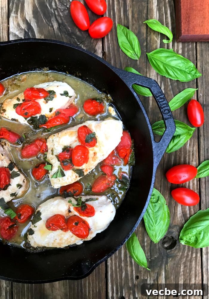 One-Pan Skillet Chicken with Tomatoes and Basil 3 Tomato Basil Skillet Chicken by The Whole Cook VERTICAL FEATURE 1