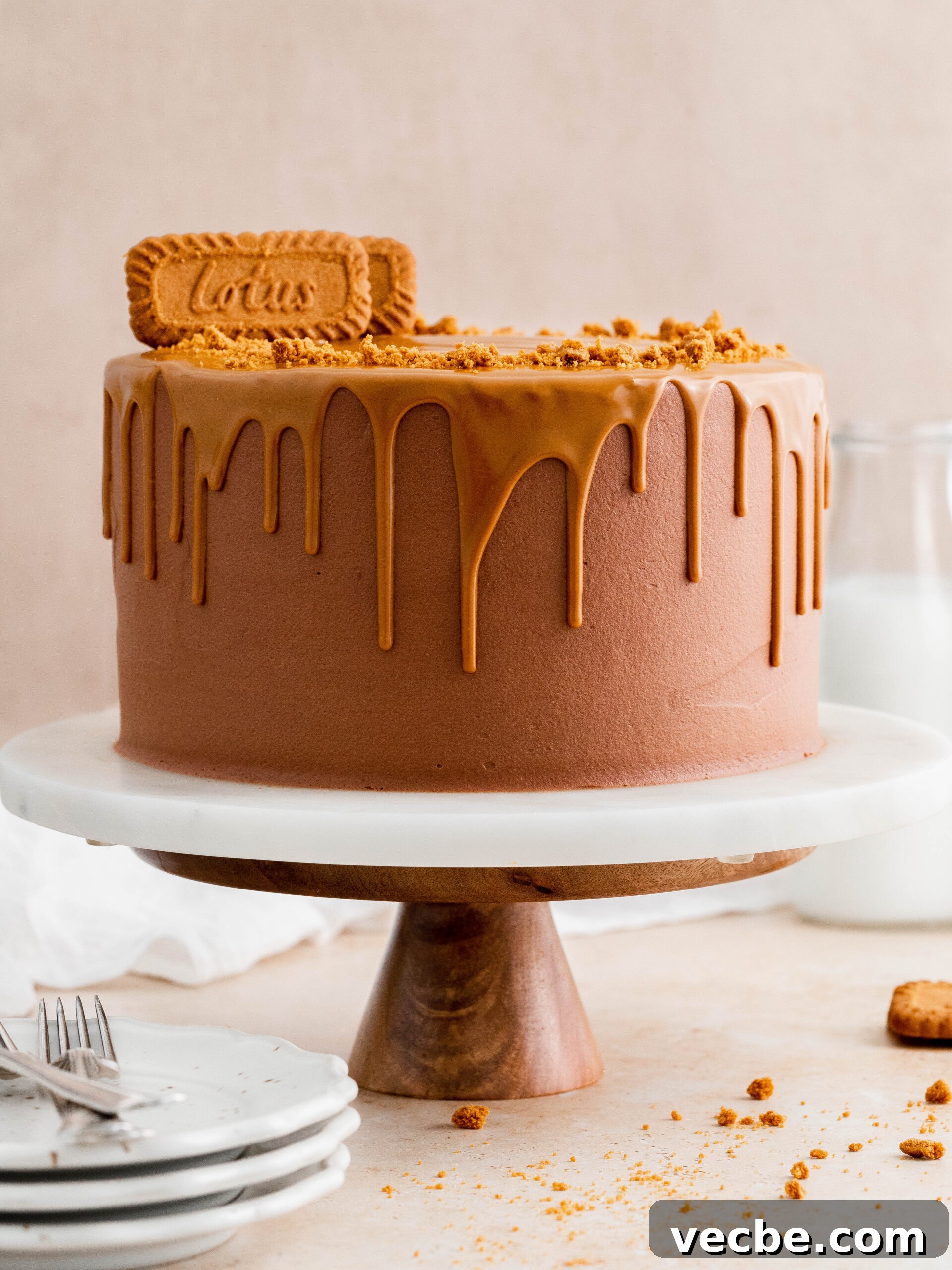Biscoff Layer Cake Recipe with Lotus Biscoff Frosting 2 Biscoff layer cake