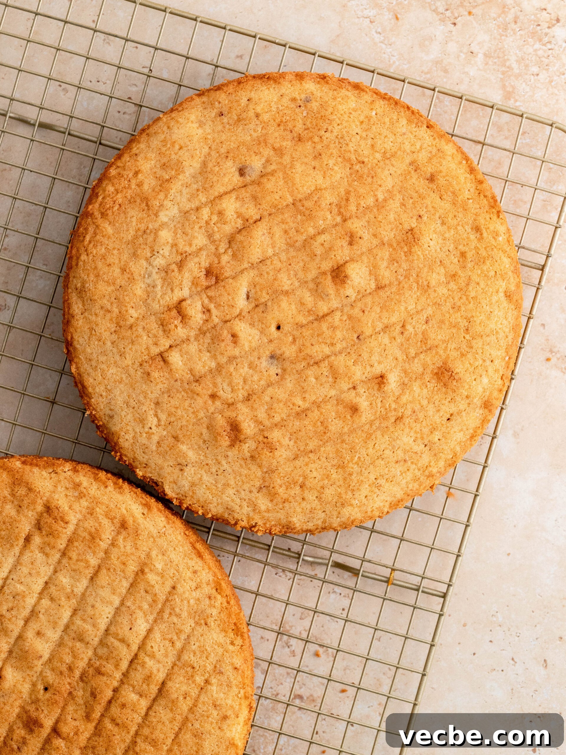 Biscoff Layer Cake Recipe with Lotus Biscoff Frosting 5 Chocolate frosting