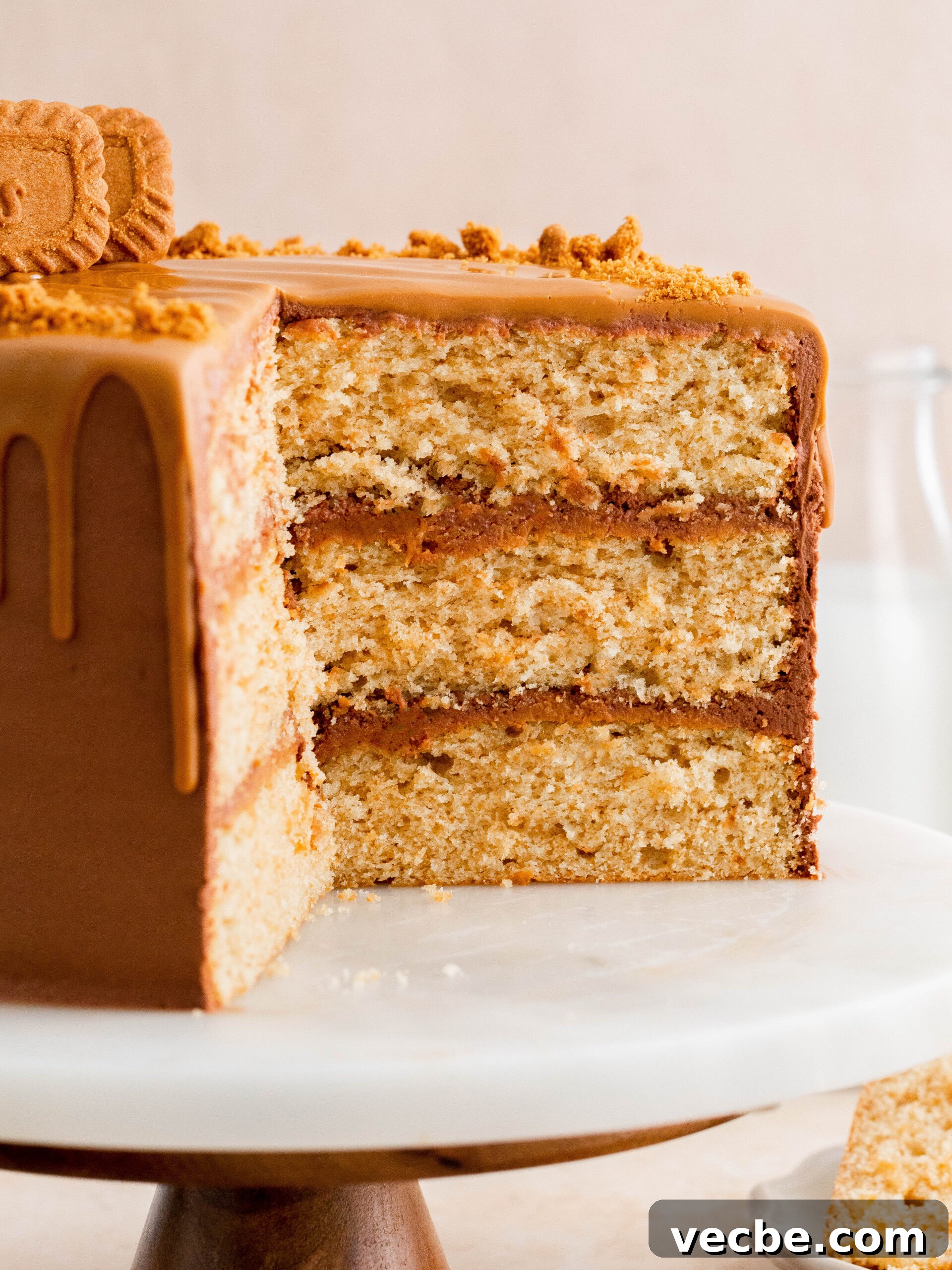 Biscoff Layer Cake Recipe with Lotus Biscoff Frosting 7 Sliced Biscoff cake