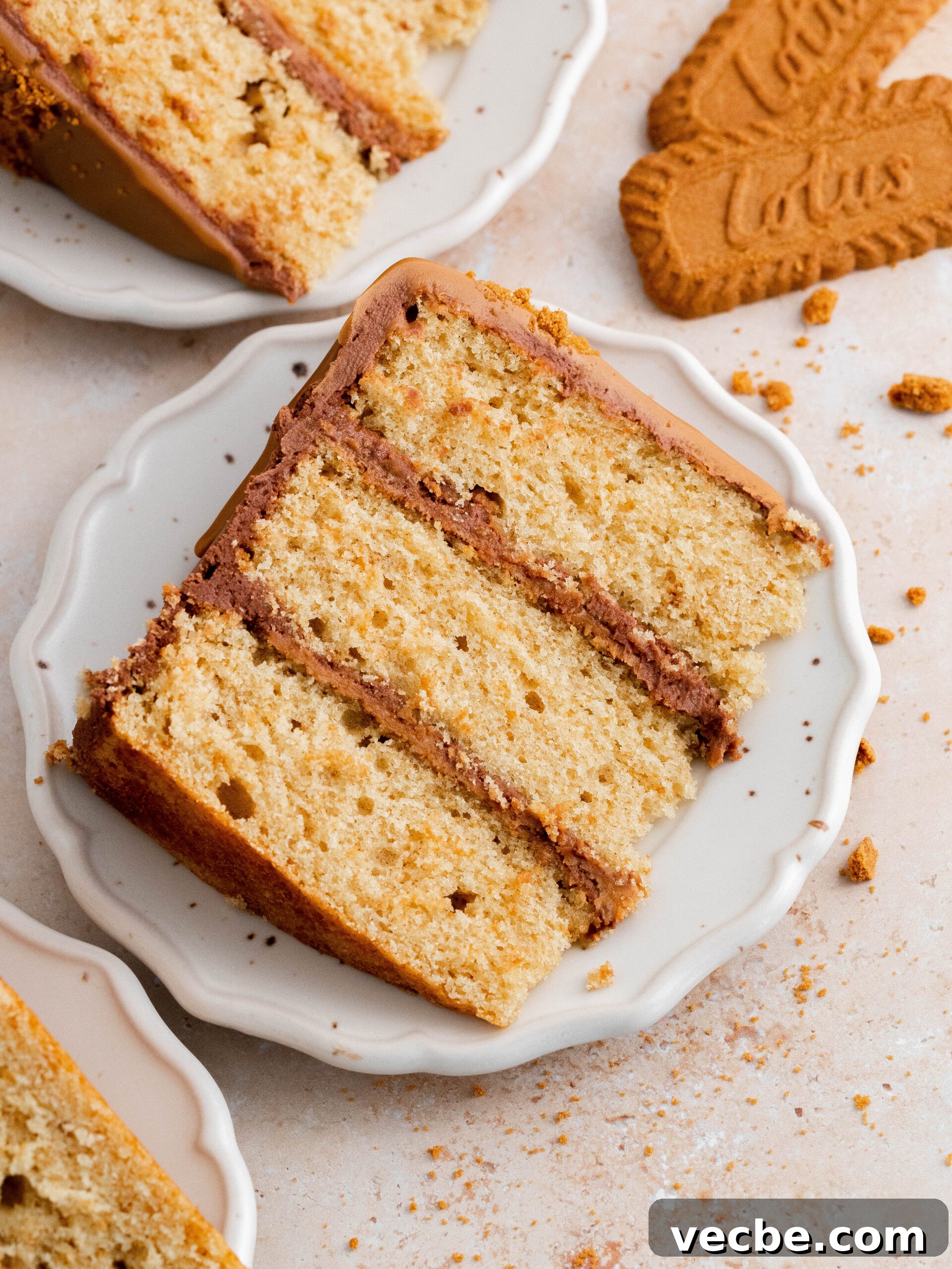 Biscoff Layer Cake Recipe with Lotus Biscoff Frosting 8 Decorated Biscoff cake