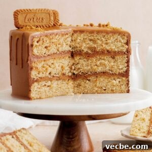 Biscoff Layer Cake Recipe with Lotus Biscoff Frosting 9 Biscoff cake thumbnail