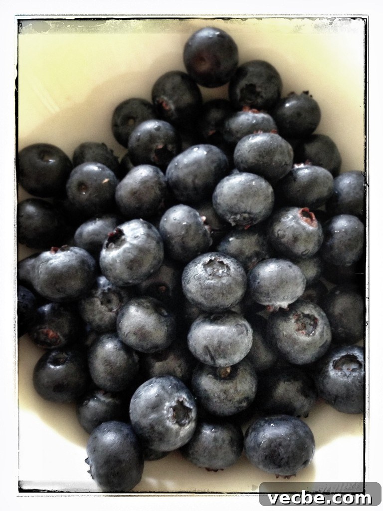 Berry Breakfast Ideas: 10 Fresh Recipes to Start Your Day 2 IMG_1293