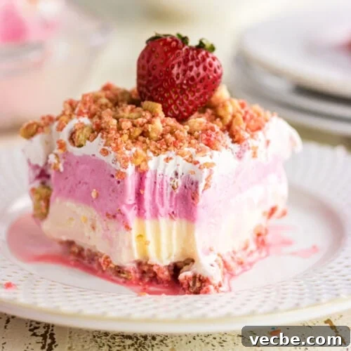 A closeup of the ice cream cake showing the layers.