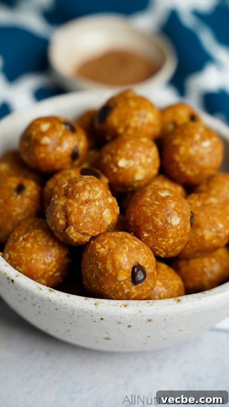 20 High Protein Snack Recipes That Keep You Full 15 Pumpkin protein balls