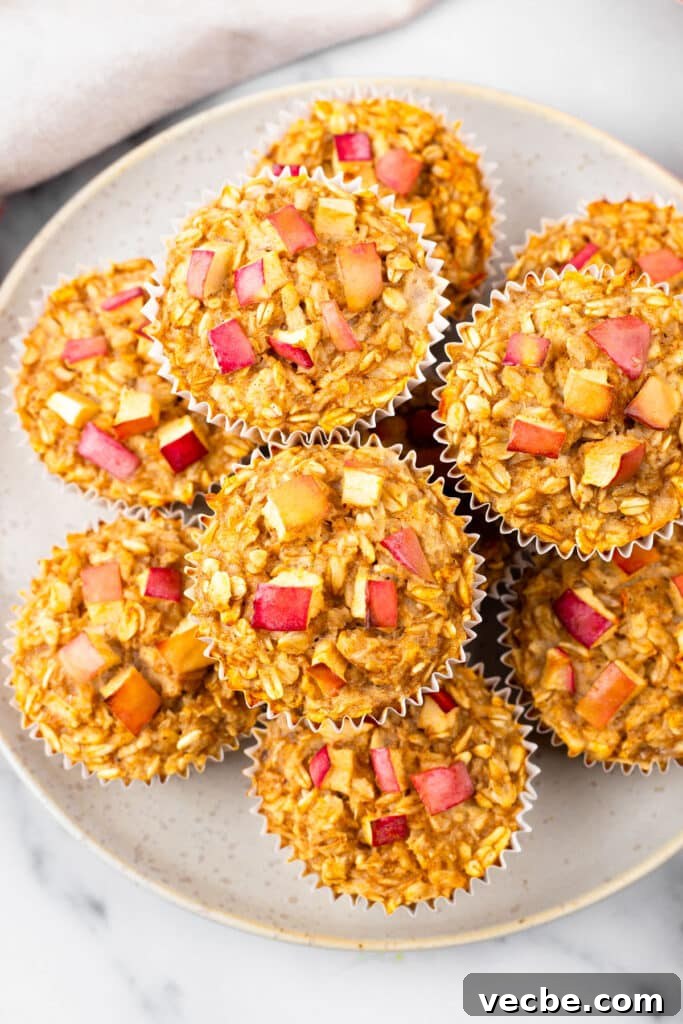 20 High Protein Snack Recipes That Keep You Full 8 Apple cinnamon protein muffins