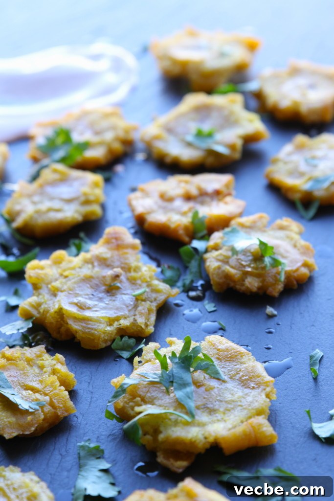 Crispy Garlic Tostones with Smoky Chipotle Aioli Recipe 2 garlic tostones with chipotle aioli