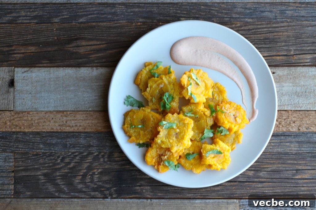Crispy Garlic Tostones with Smoky Chipotle Aioli Recipe 4 garlic tostones with chipotle aioli