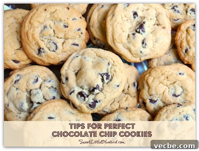 Perfect chocolate chip cookies
