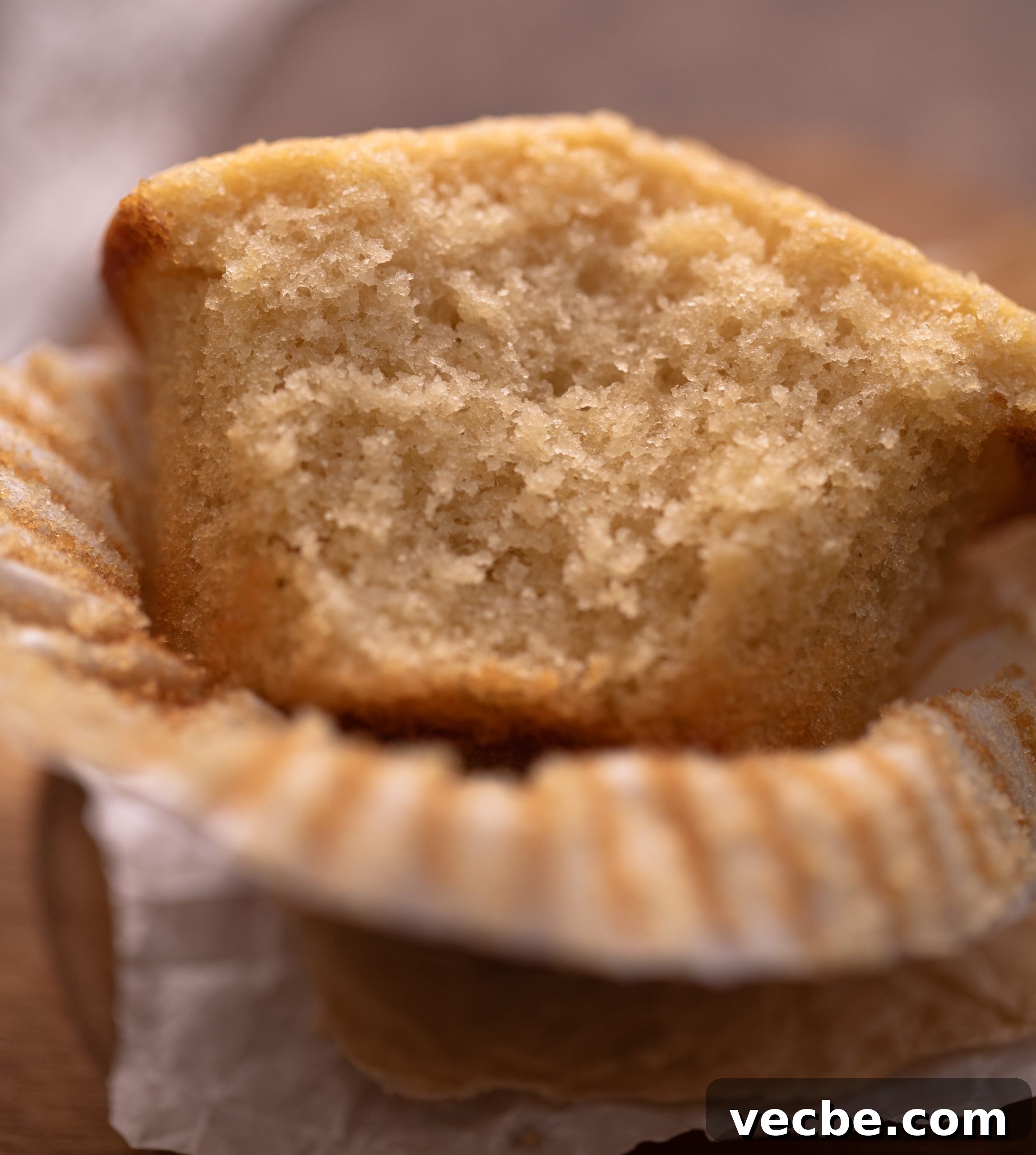 How to Make Muffins with Leftover Milk 5 Another close-up shot showcasing the texture of bbe's milk muffins.